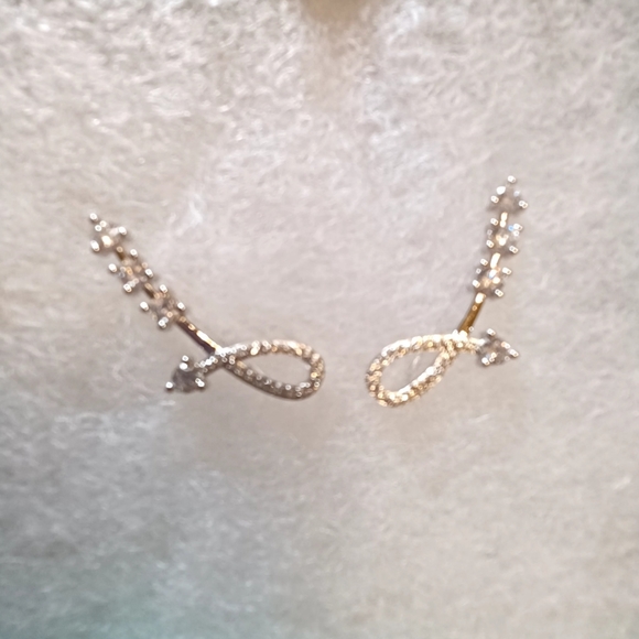 Earrings - Picture 1 of 1